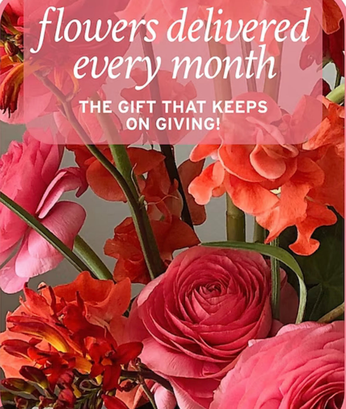 Monthly Floral Subscriptions